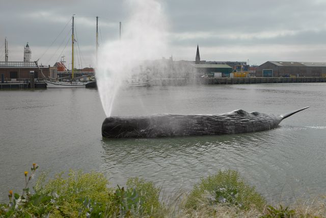 11Fountains