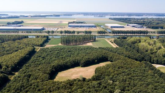 Land Art Almere Groene Kathedraal Boezem