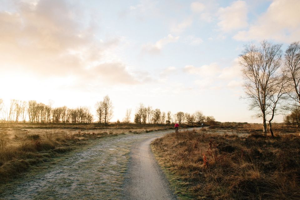 Twee mensen fietsen op een winterochtend door de natuur.
