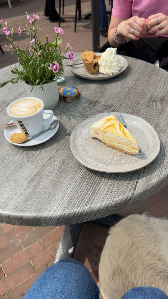 Brasserie oer met hond