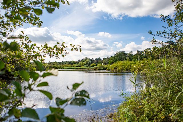 Rietven in Oisterwijk in het groen en met blauwe lucht met wolken