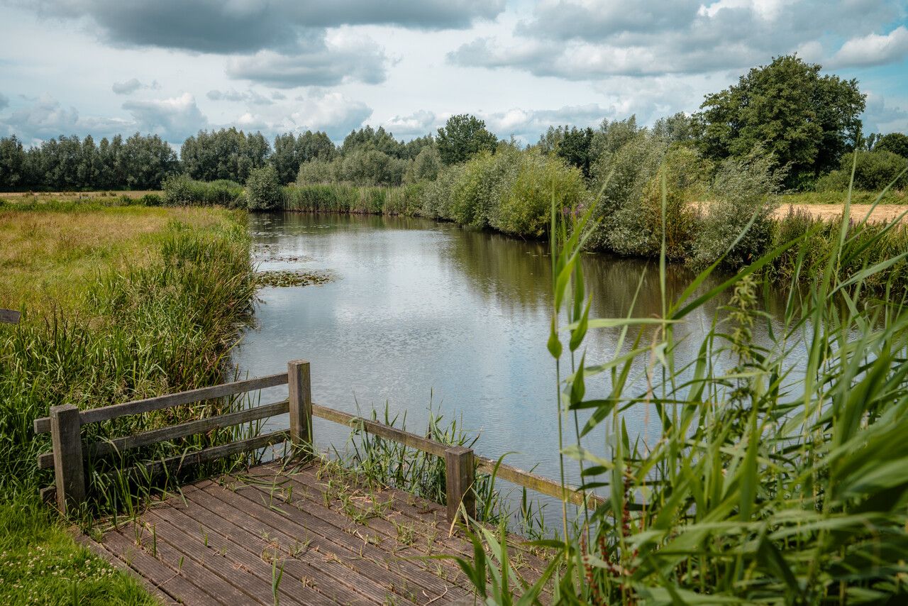 Overzicht peppellandschap van de Meierij vanaf een vlonder in het water