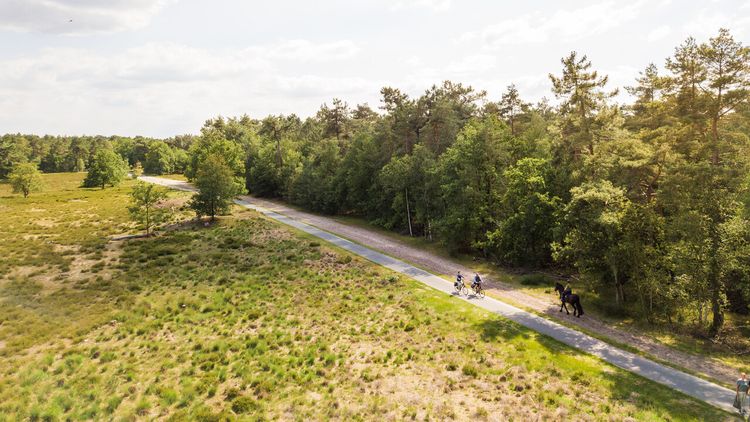 Fietsen door de Loonse en Drunense Duinen