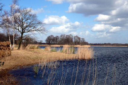 Uitzicht over het water met rietkragen tijdens wandeling Boerenlandroute - Botsholroute