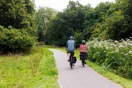 Groene Ster, recreatie, zomer