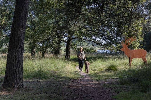 Eine Frau spaziert mit einem angeleinten Hund durch die Natur.