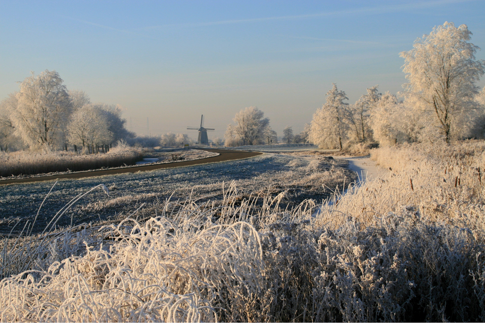 Wit landschap door de sneeuw