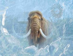 IJstijd-evenement in ZooParc