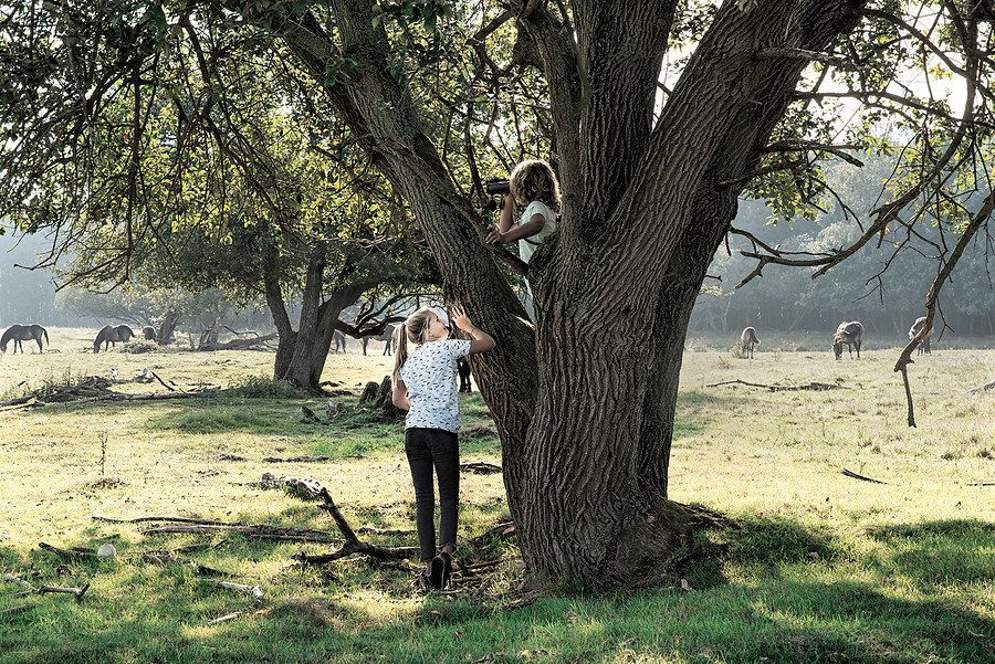 Een foto van de Kreitsberg in Zeeland.