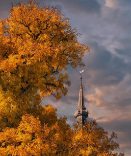 Kerktoren met bomen in herfstkleuren
