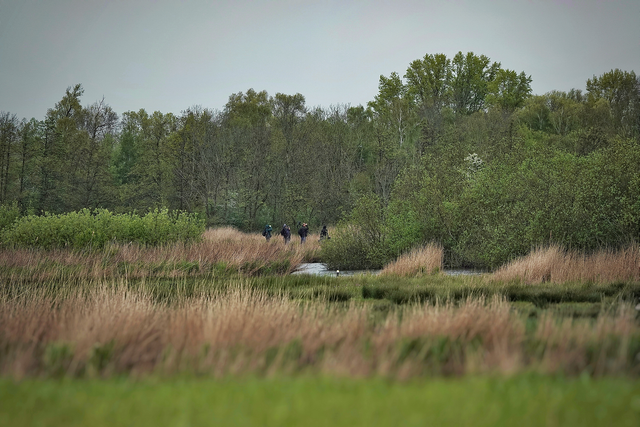 Mensen op vogelsafari in Het Twiske