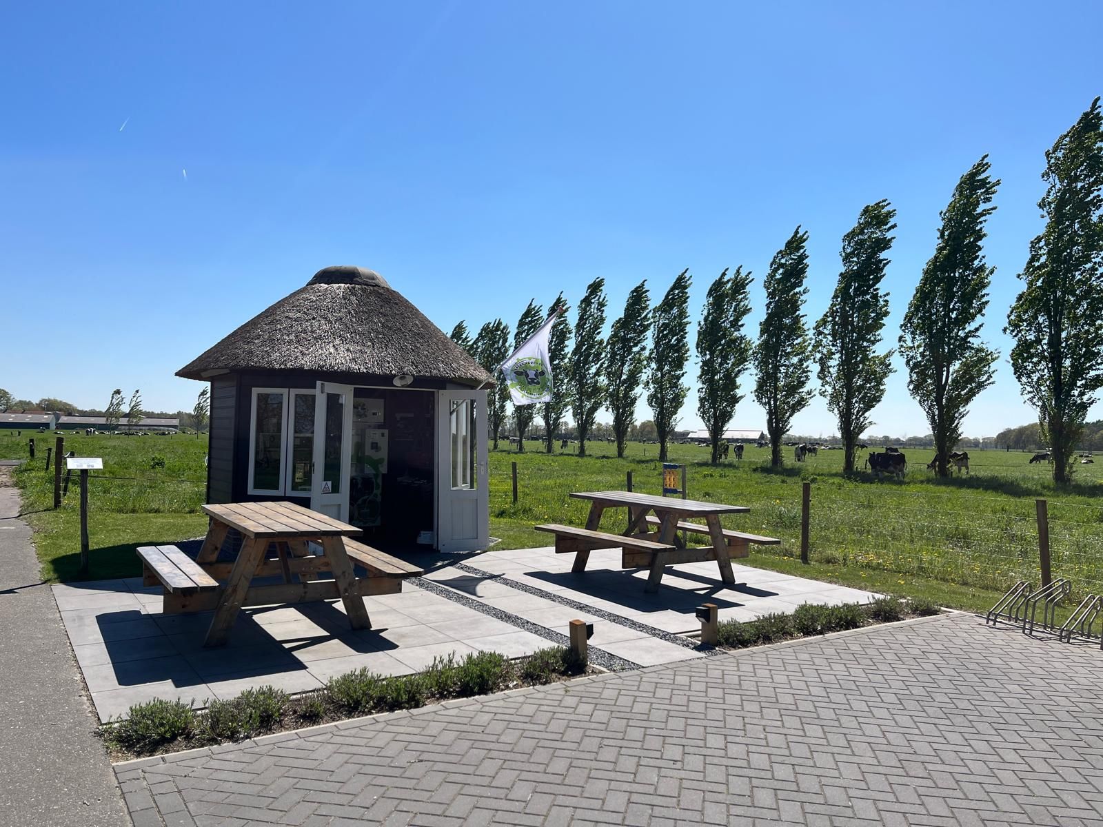 wei met koeien en een tuinhuisje met twee picknickbanken