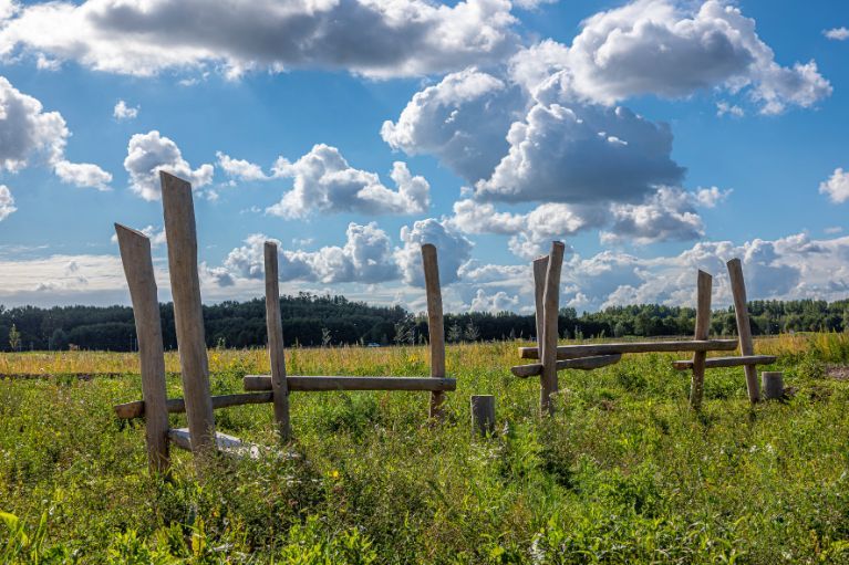 Groen in het recreatiegebied met houten palen.
