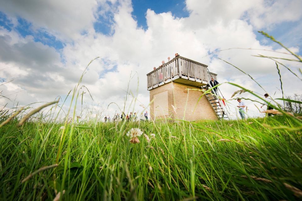 Door de Noordelijke Friese Wouden