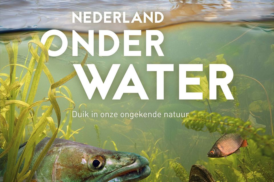 Nederland onder Water