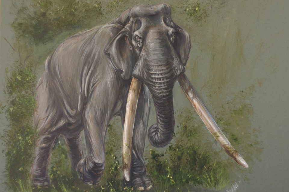 Tentoonstelling oostvaardersplassen Almere