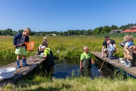 Slootjesdagen: kijken naar het waterleven