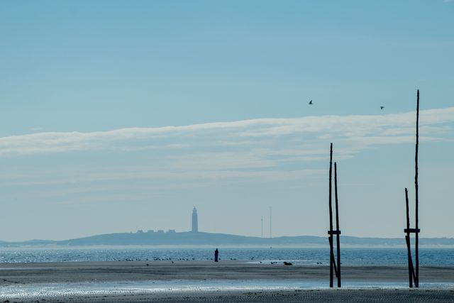 Zuidwestelijke punt Vliehors met zeehonden, palen aanlegsteiger en op achtergrond Texel
