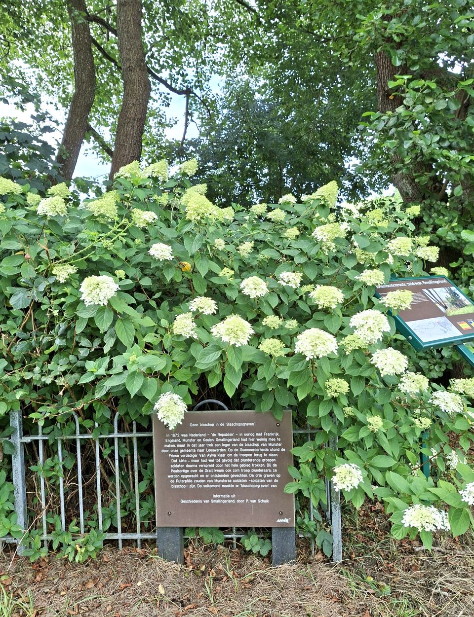 Bisschopsgraven