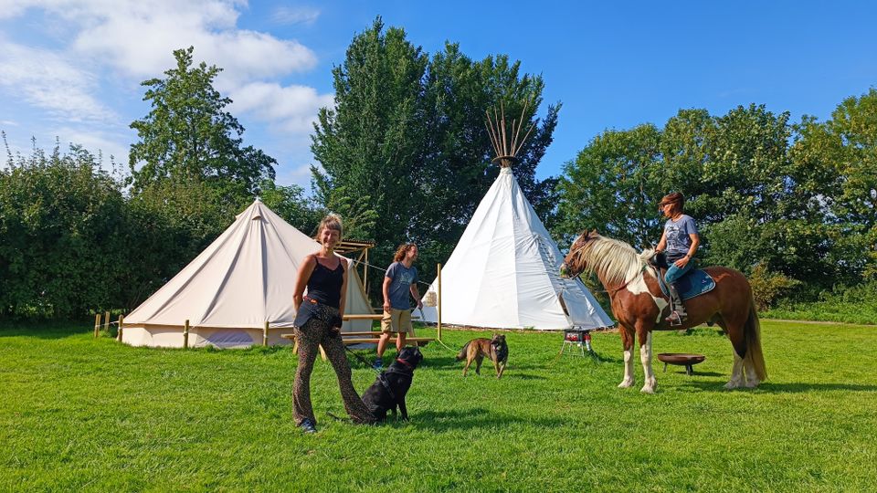 Tenten veld met tipi en belltent