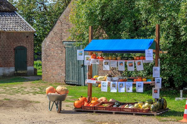 Overasselt Kraampje Pompoenen