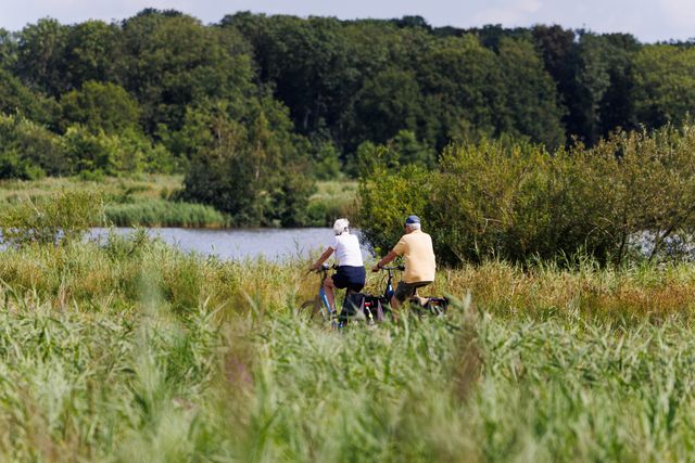 Groene Ster, recreatie, zomer