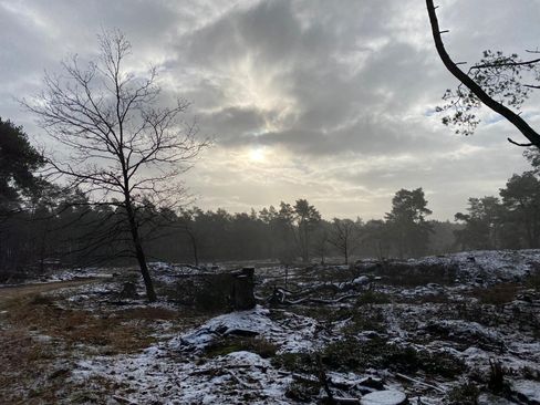 Heide Vierhouten winter