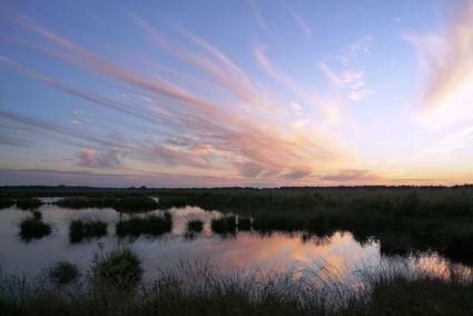 Natuurgebied Fochteloërveen