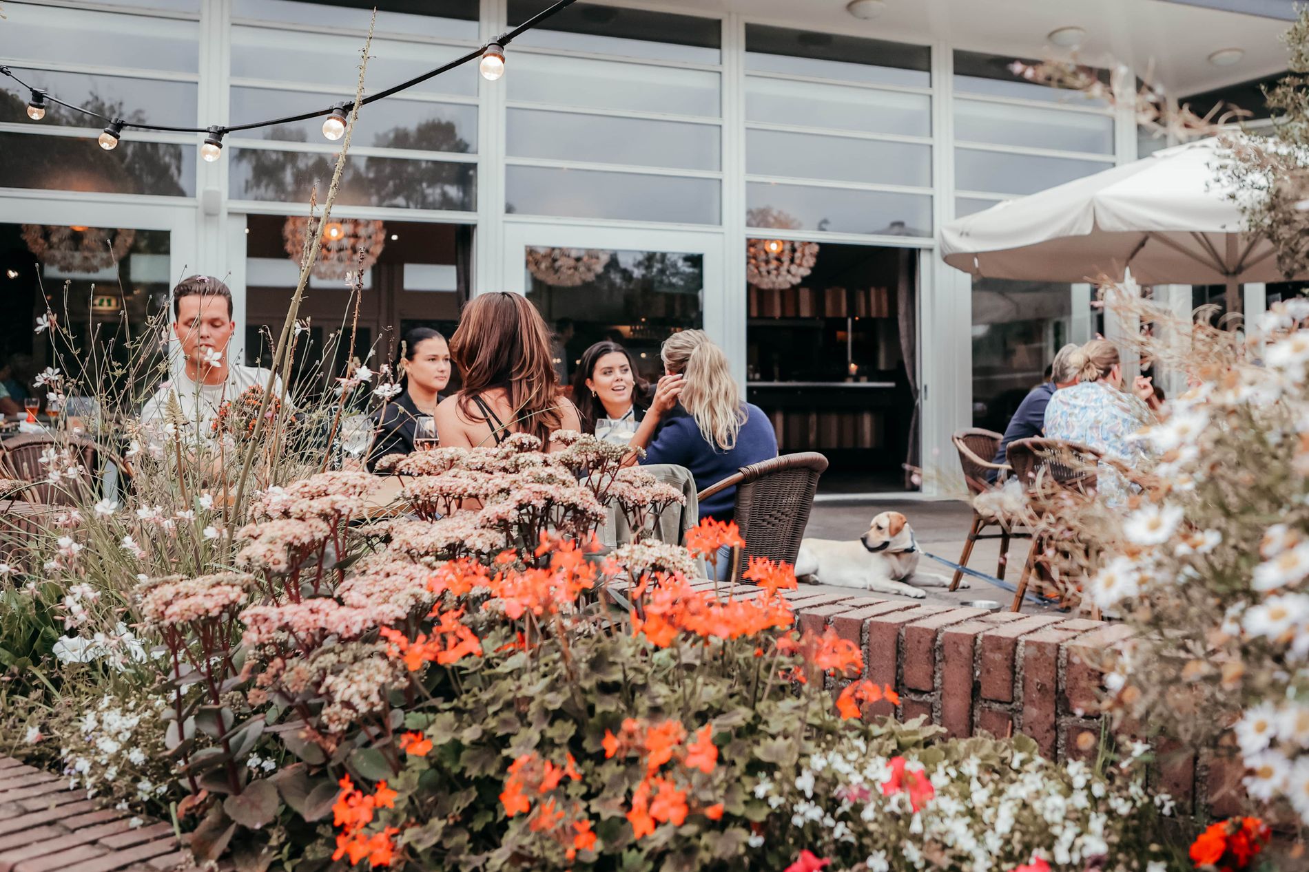 Heerlijk eten op terras bij restaurant Achterste Hoef