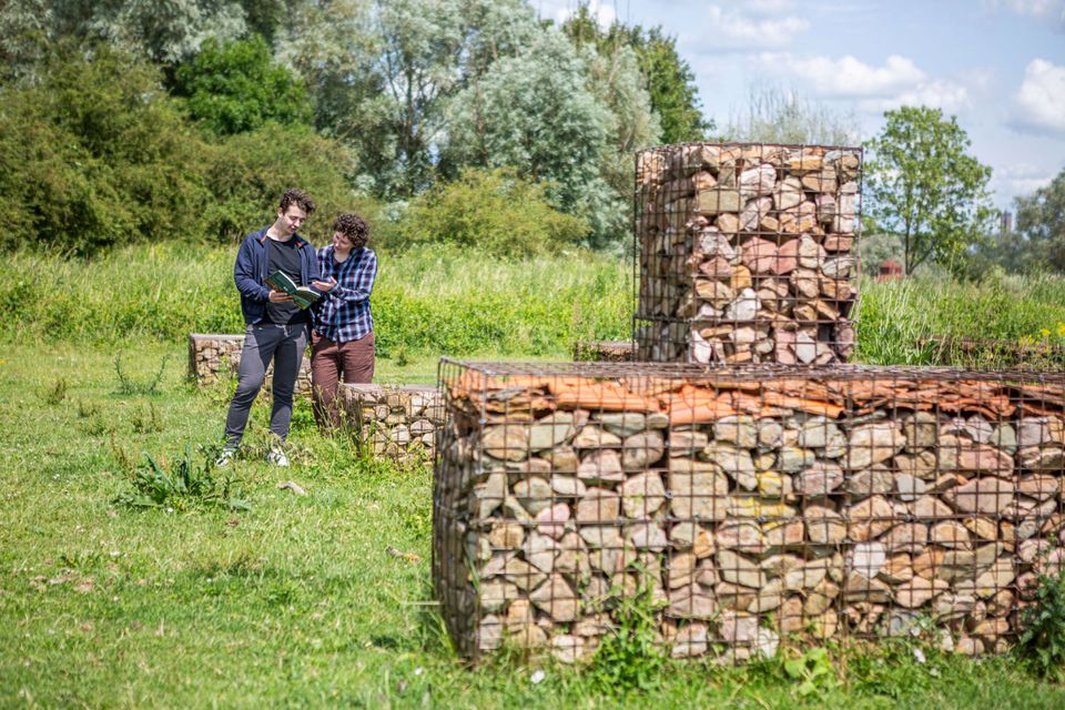 Detail castellum Meinerswijk