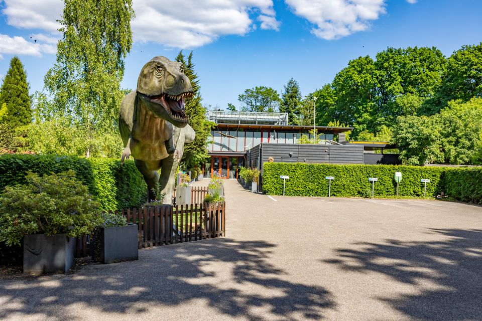 Dino bij de ingang van Oertijdmuseum