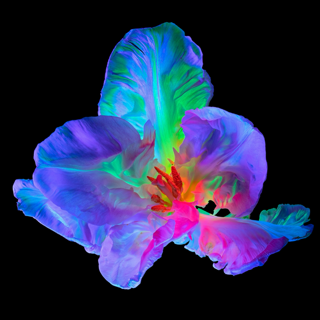 item-image