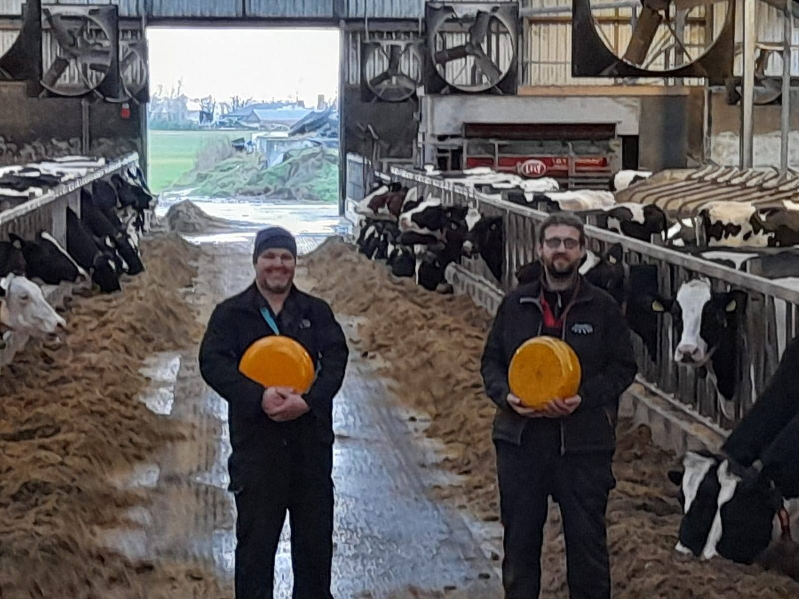 Zuivelboerderij De Leegvelder - in de stal