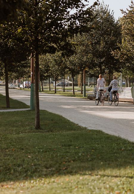 Green Carpet walking park