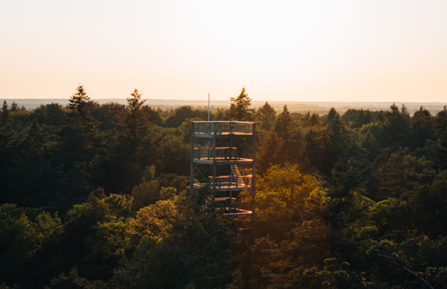 Een man kijkt bovenop de uitkijktoren bij Poolshoogte uit over de Drentse bossen.