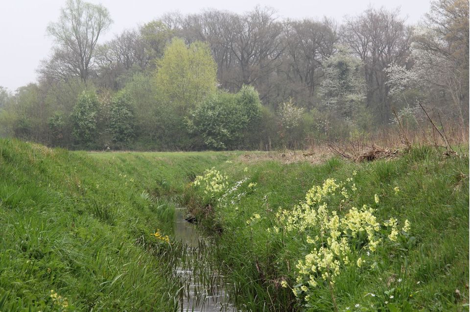 Geldersch Landschap & Kasteelen