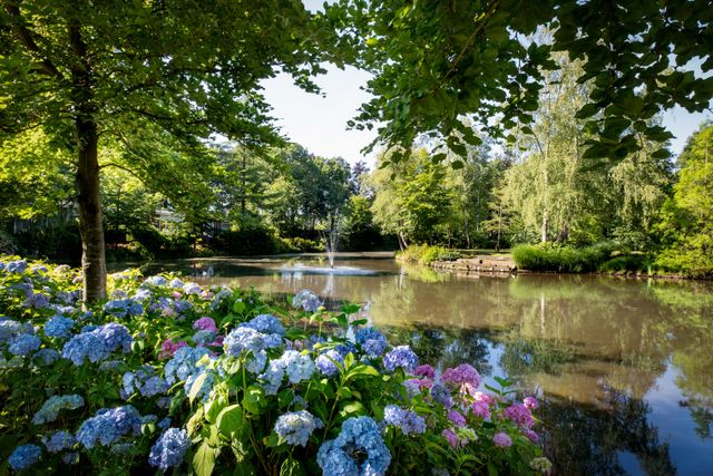 Vijver in groene tuin van De Rosep met bloeiende hortensia's