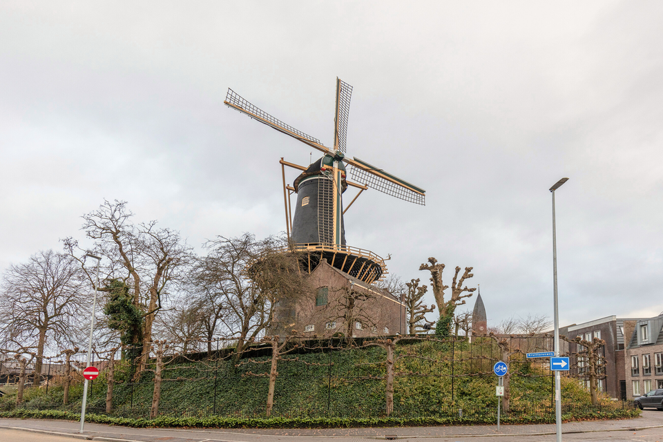 Historische stellingmolen Molen De Windhond in Woerden, Groene Hart, zwarte korenmolen op verhoogde wal met kale bomen en omliggende bebouwing in stedelijke omgeving.