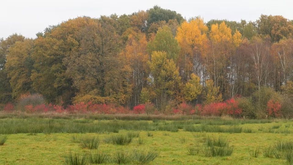 Wandelen | Rondje Rot en Hijink