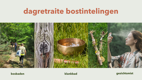 onderdelen van de dagretraite bostintelingen