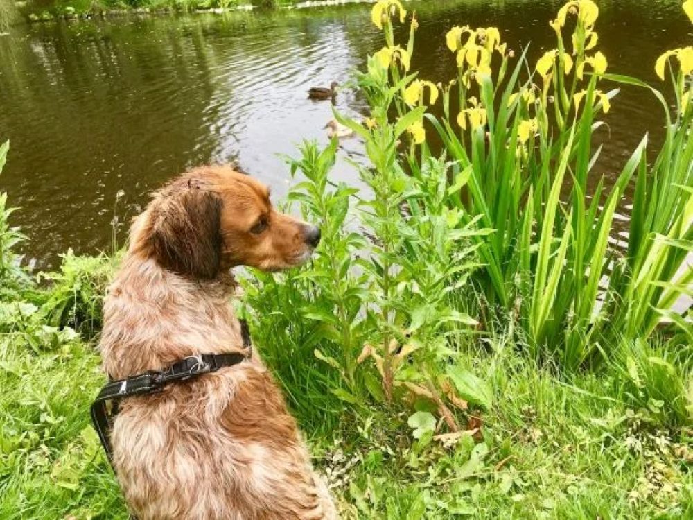 Toneelgroep Morgana 'Zoek!'