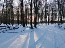 Sneeuw Berkelaarroute