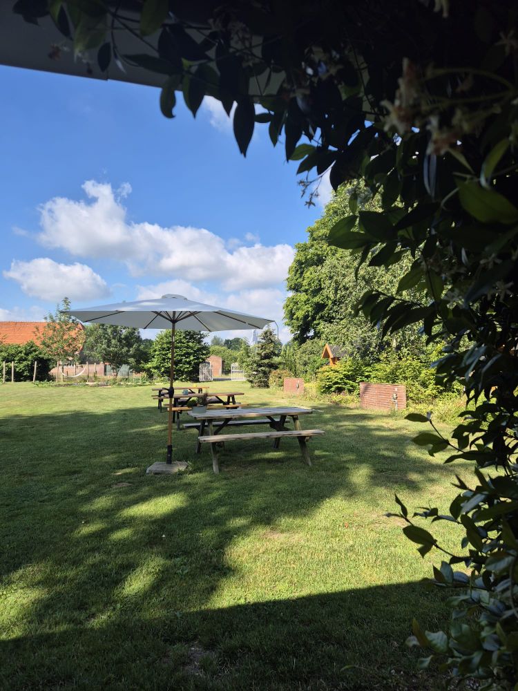 Strijk neer op het (overdekte) terras bij onze Bar'n