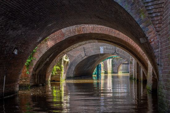 Groepsarrangement: een DagjeDenBosch op maat