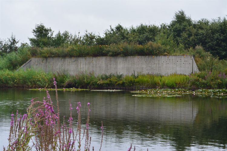 Zwaluwmuur, vleermuiskelder visvijver