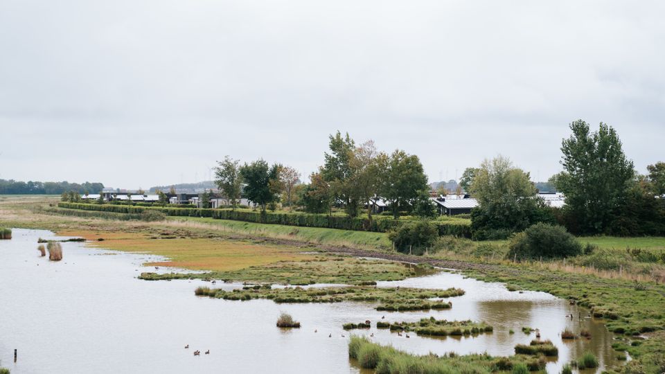 Vakantiewoningen grenzend aan natuurgebied