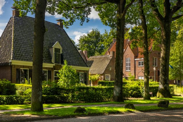 Authentieke huizen in een brinkdorp.