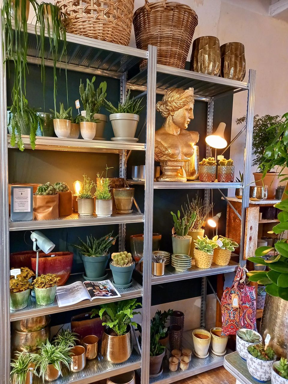 plant store maastricht