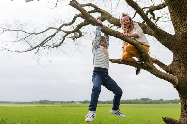 Een jongetje hangt aan een tak in de boom terwijl zijn zusje ernaast zit.
