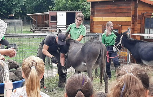 Kinderboerderij MEK in Oosterhout.